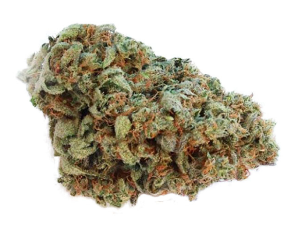 canaweedonline's tweet photo. No more #Quebecgold and #blackgold in stock !
But limited qty of #Superglue and #ghosttrainhaze #strains available soon😍 https://t.co/epKr5fx3lc
#MedicalMarijuana #MedicalCannabis #Cannabis #THC #CBD #CBN #CBG #Terps #kush #skunk #bluedream #weed #Marijuanastocks #marijuana https://t.co/YtEh9qz8hf