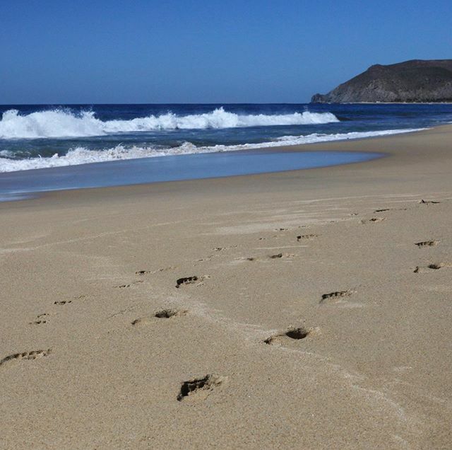 dkeahey's tweet photo. Time to be moving on.  Or not... 🚐💨👍👎❓
... ... ...
One of the things I love about solo travel is that I can change my mind as many times as I want to! I want to go Here, no I want to go There, no maybe Stay where I am another day, no I definitely… https://t.co/jJ1bzrdNjn https://t.co/rLTKaJfYcv