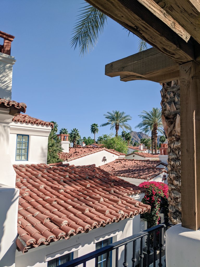 #SVN2020 annual conference this week from sunny Palm Springs, CA! Great opportunity to strengthen our #SVN network! <a href="/svnblackstream/">SVN BlackStream</a>