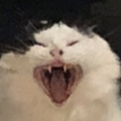 AAAAAAAAAAAAAAAAAAA