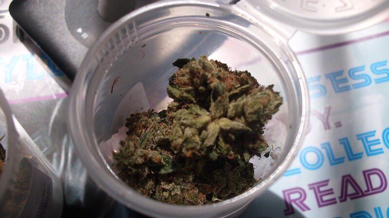 davidglor1's tweet photo. Let’s get high 💨 https://t.co/bOLHBxXszu