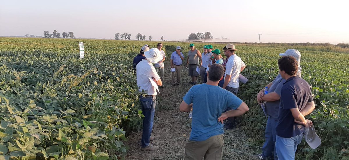 tomasfigallo's tweet photo. Compartiendo experiencias y pasando un buen rato con clientes y amigos.@IDEARGalvez @matiasdebonis @juanil3. Todo lo que se viene en @macro_seed https://t.co/H6xD1vnX6U