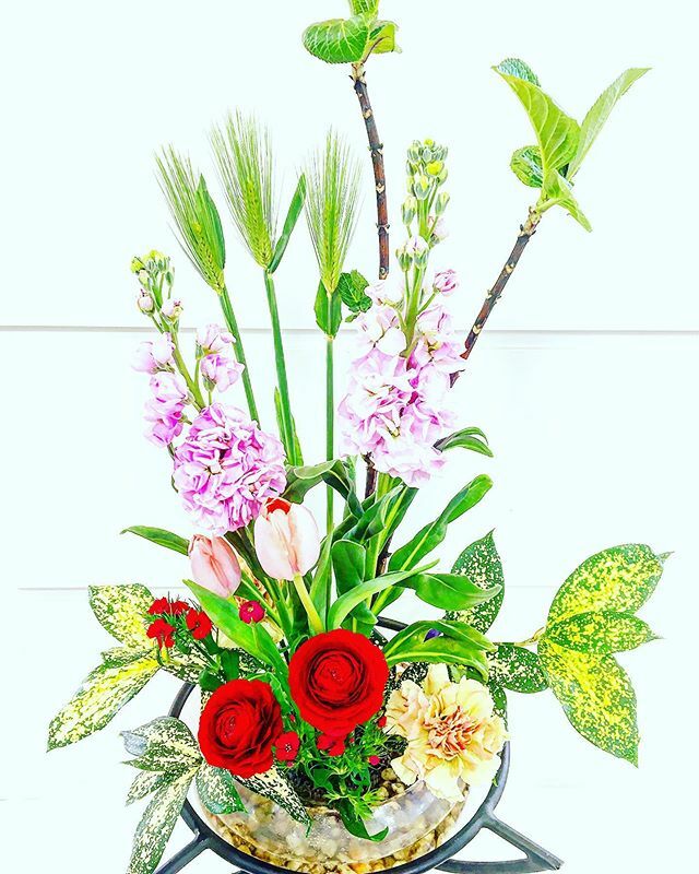 asakenchan's tweet photo. 今週の花💐🌼🌸
#yayoibrains
#yayoibrainsgrande 
#京都阪急桂駅前美容室 
#今週の花
#生け花
#ガク草
#ストック
#ムギ
#チューリップ
#ナデシコ
#ラナンキュラス
#ゴッドセイ
#伊藤花店 https://t.co/XdpQCQ9W9Z https://t.co/J99KO5a0MT