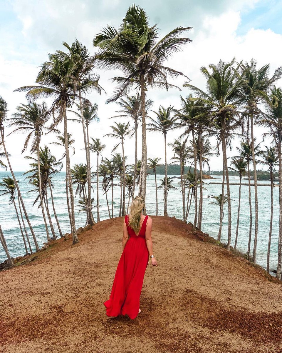 Attractionsins1's tweet photo. Coconut tree Hill - Mirissa
Photo credit @agirlwhoblooms
https://t.co/iCANBeE8k8
#travel #srilanka #travelblogger #mirissa #coconuttree #coconuthill #travelceylon #travelgirl #visitsrilaka #wonderlust #trees #wonderful_places #attractionsinsrilanka #traveladdict #travelgoals https://t.co/PuZeniYjjD