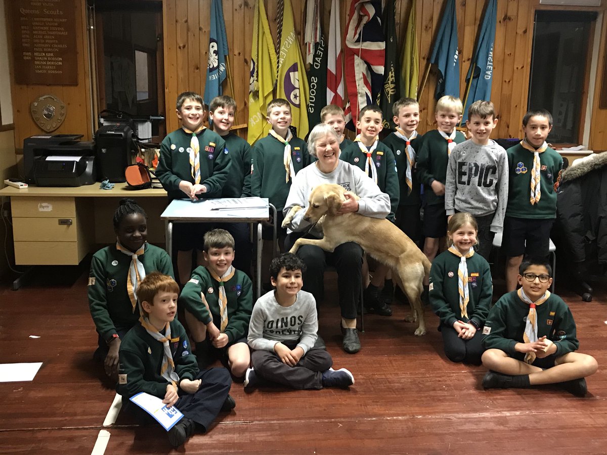 Fun and activities with Hillary and Aida the guide dog last night