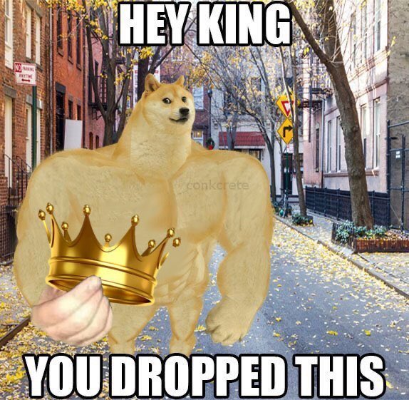 reactions on Twitter: "hey king you dropped this strong doge crown… "