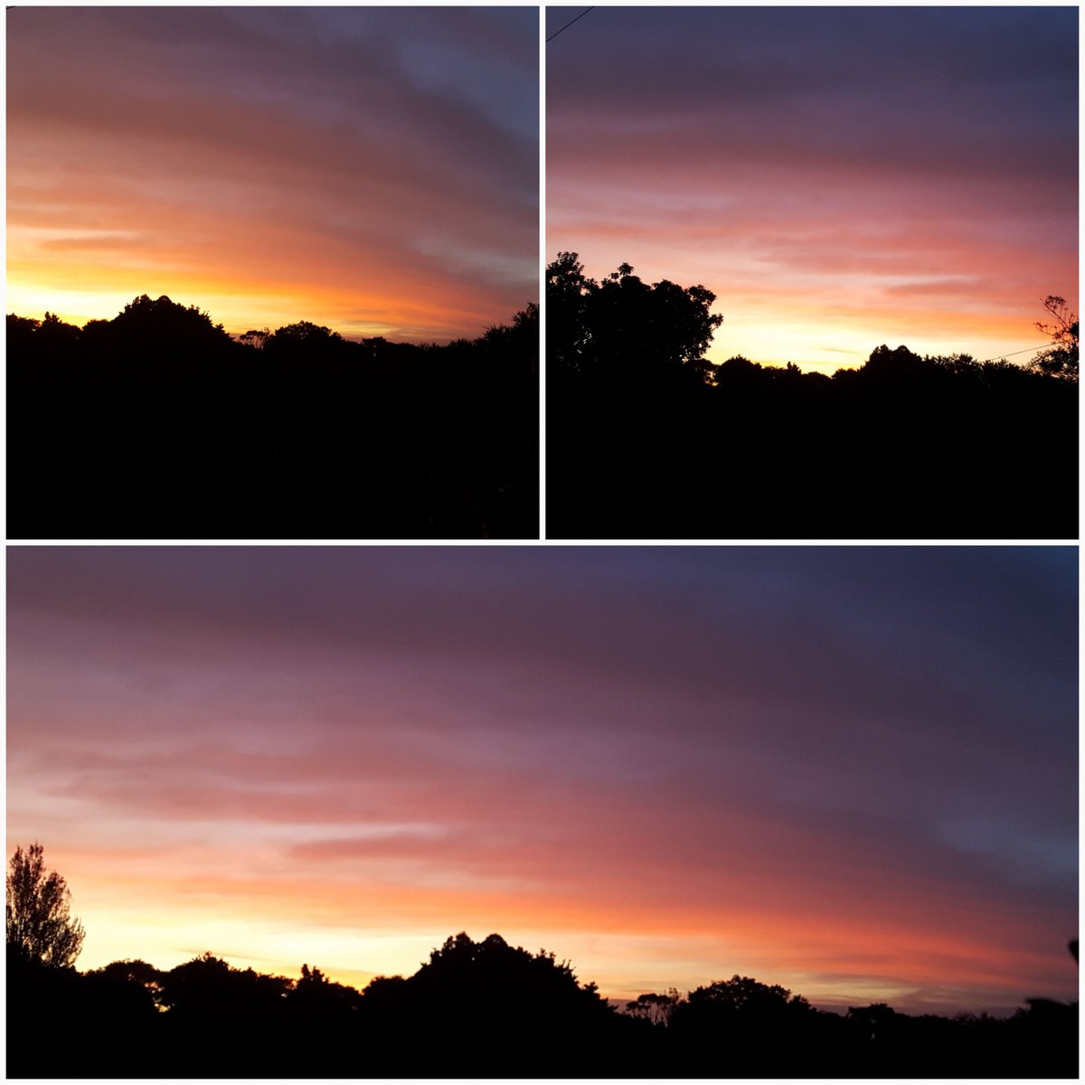GabyLynch9's tweet photo. I thought the grass had a pinky hue...rather a nice sunset tonight #roundtheback 😉 https://t.co/62oqiClDBg