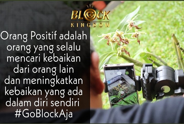 JuniLbr's tweet image. Apa sih yang dimaksud ORANG POSITIF itu ? 

Special Quote from #GoBlockKingDOM