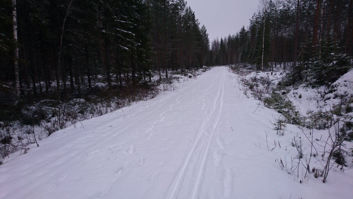 VSinclair_Met's tweet photo. Analysing 25 years of #SMEARII data at the Hyytiälä Winter School. Time, and just enough snow, for some early morning skiing. #Hyytiälä2020 https://t.co/IvQihhcNgW