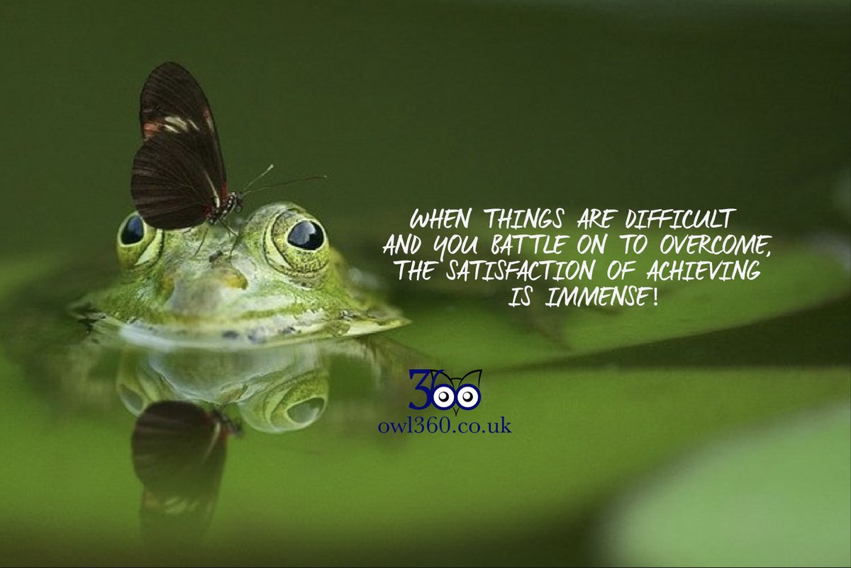Owl_360_UK's tweet photo. When things are hard, take a time out then go back to it, but don't give up.

#WednesdayWisdom https://t.co/a8wazDSNLH