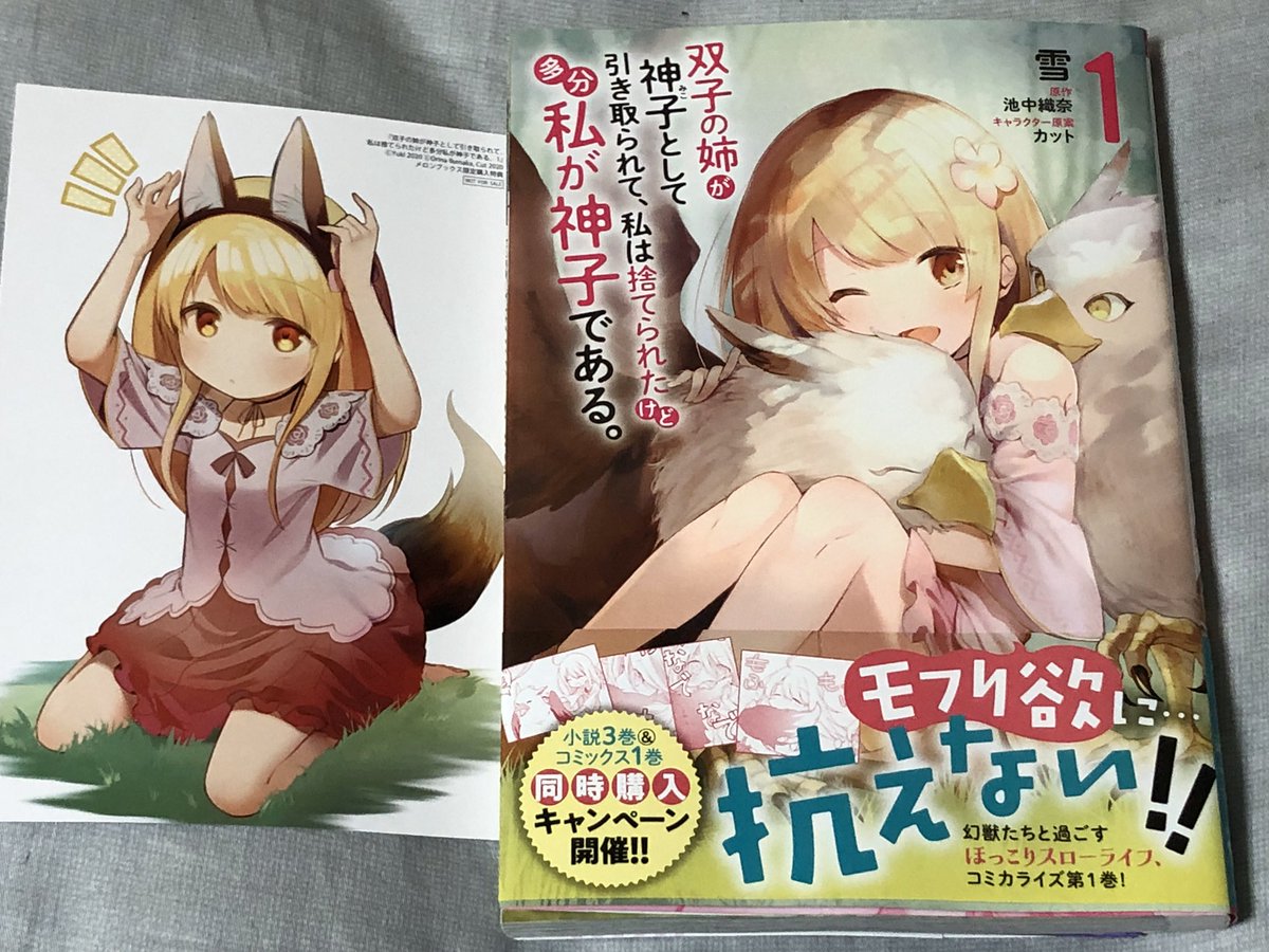 双子の姉が神子として引き取られて私は捨てられたけど多分私が神子である Hashtag Pa Twitter