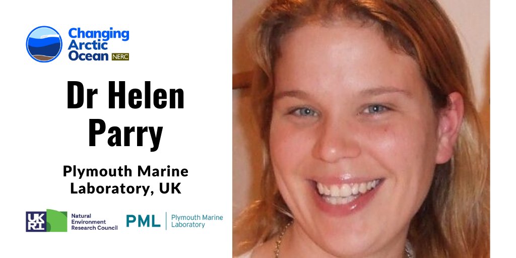 NERC_CAO's tweet image. #MeetAScientist: Helen Parry from @PlymouthMarine is a co-investigator in #DIAPOD

She uses sequencing techniques to identify holoplankton and meroplankton in natural assemblages

Info: bit.ly/CAOParry

@NERCscience #UKinArctic @BMBF_Bund #ArktisImWandel