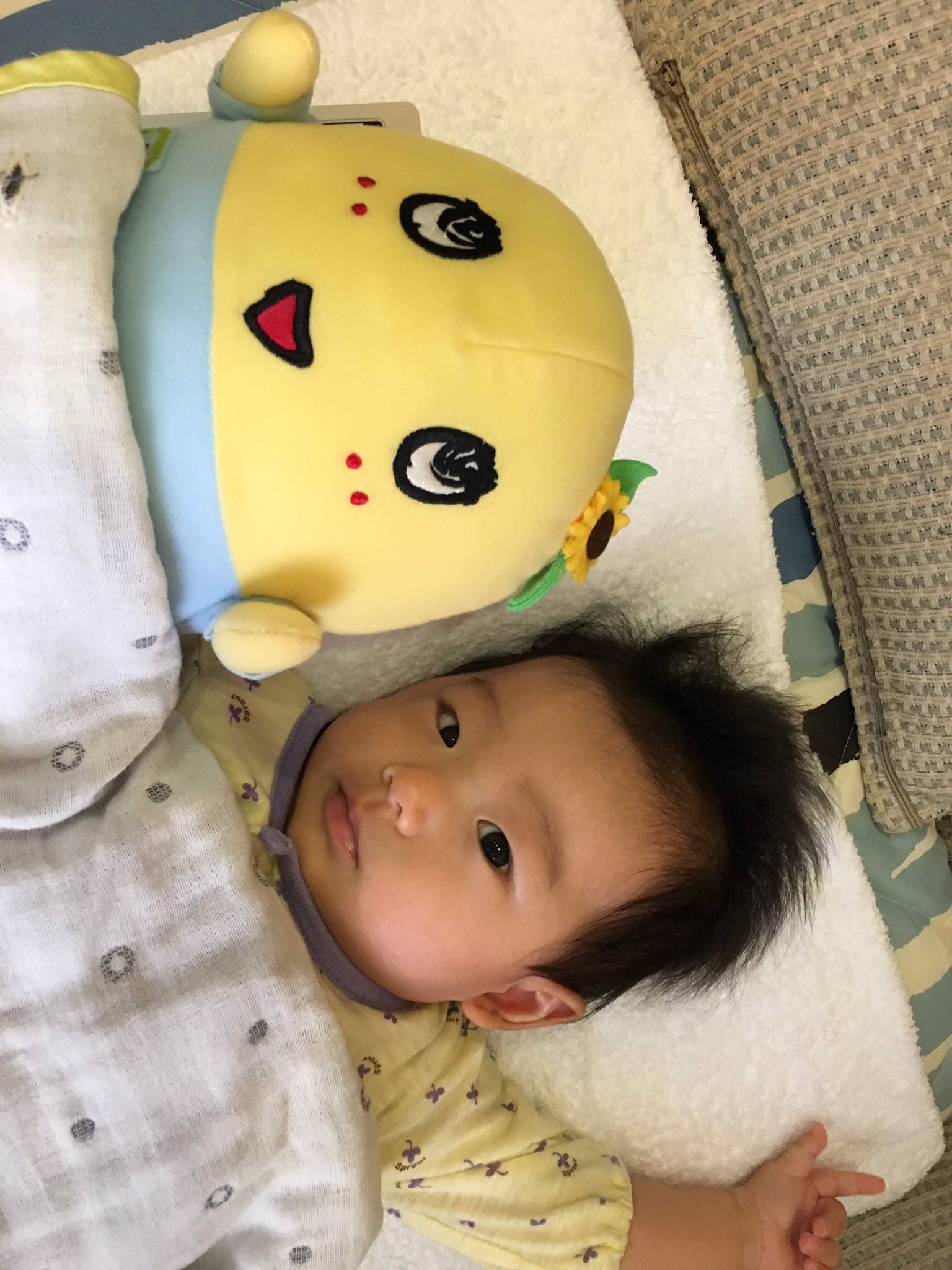 にむきっぷ 3y2y年子姉妹 ふなっしーのぬいぐるみを連れ歩くようになりました 浮き輪をしているゲーセン産のふなっしー 何年も前のものが今愛され まくっています 今までぬいぐるみへの執着が無かったのでとても可愛いです 今日は浮き輪を握りしめ