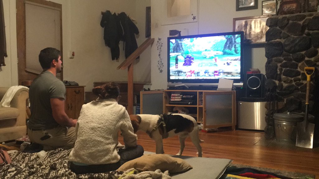 RealAustinToach's tweet image. My current entertainment tonight! Look at them go lol!