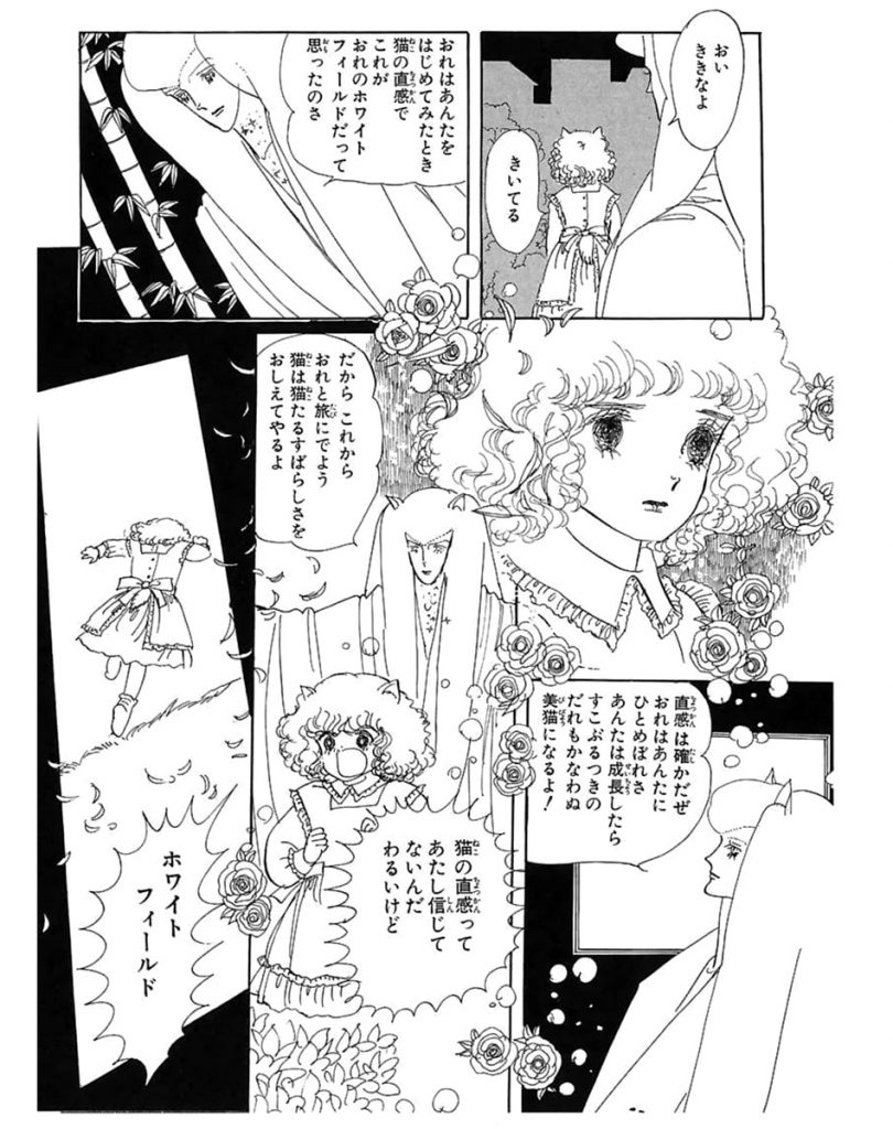 アクションの域で活用したのは石ノ森章太郎先生だし、少女漫画の世界もその流れを汲んで心象風景の表現として世界でも例を見ない領域を作り上げた。 