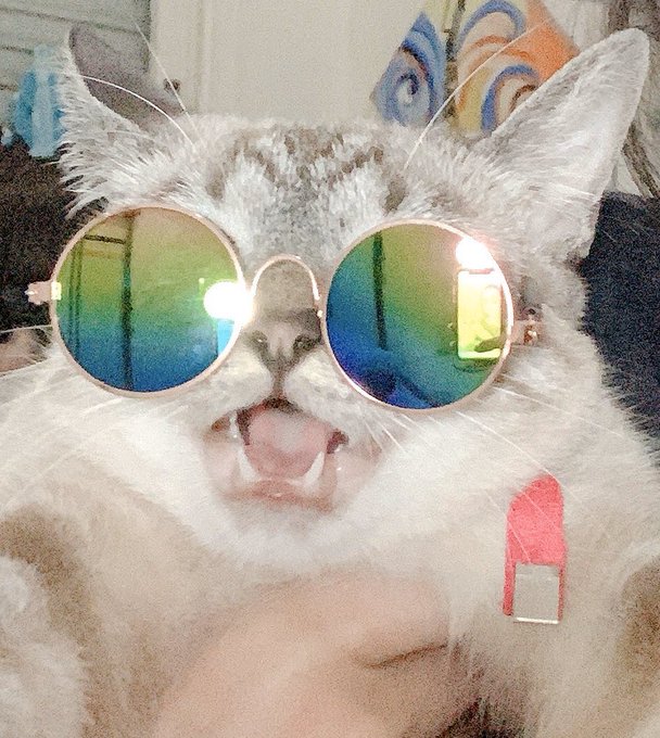 Acho que a Arya n&atilde;o gostou muito do &oacute;culos https://t.co/Y7FPBXowEE<a href="/tag/strangerthings"class="tags"><span>#strangerthings</span></a>