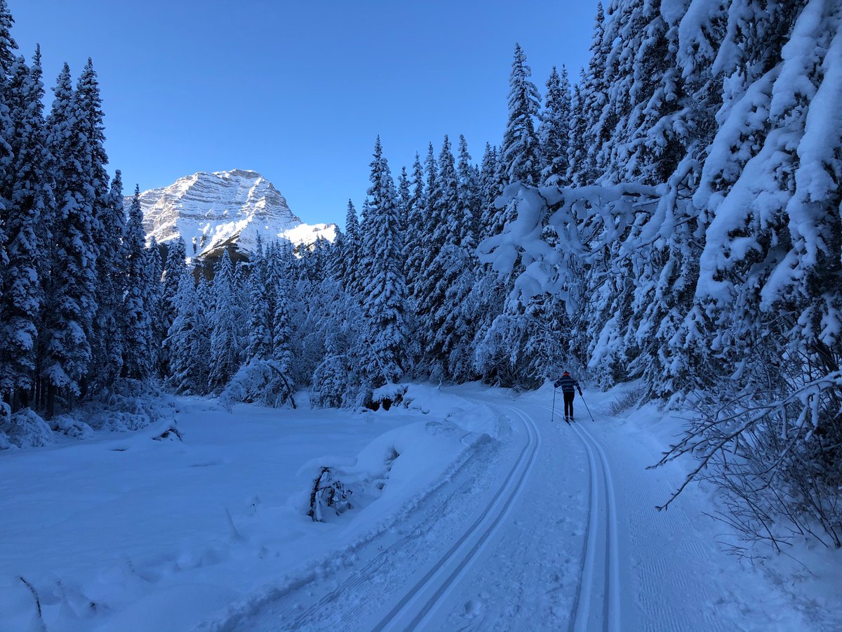 This is what XC skiing looks like in the Kananaskis Village (Ribbon Creek) area. Getting rid of this is a terrible decision for tourism and health - @jkenney @JasonNixonAB - please reconsider. @SkiHere @BeckieScott4 @ChandraCrawford @brianmckeever #ableg