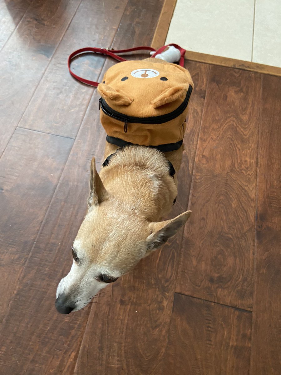 Taffy Tom tweet media