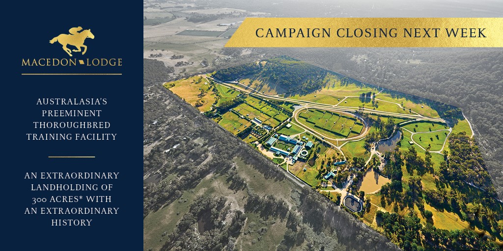 MacedonLodge's tweet photo. CLOSING NEXT WEEK! Do not miss this extraordinary &amp; rare opportunity!
For Sale on International Expressions of Interest closing 11th March 2020 (Unless Sold Prior)
https://t.co/H3seLZv6w4 https://t.co/8MVN7rrH6v