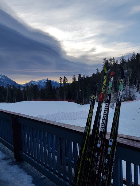 Bill Dreger tweet media