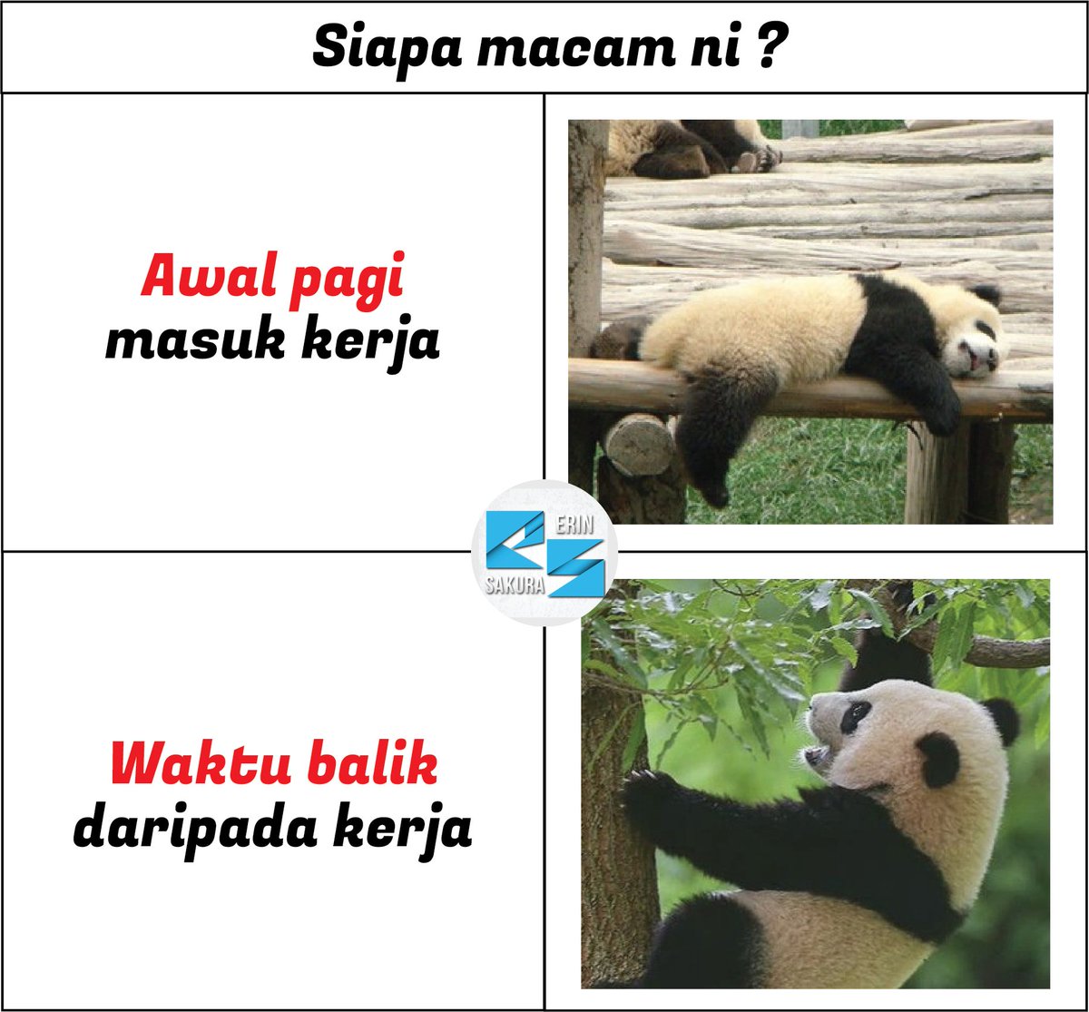 erinsakura_com's tweet image. Mengaku la korang mesti macam ni jugak kan ?
#kerja #semangat #mengantuk #tidur #segar
#ErinSakura
#lawakdboom