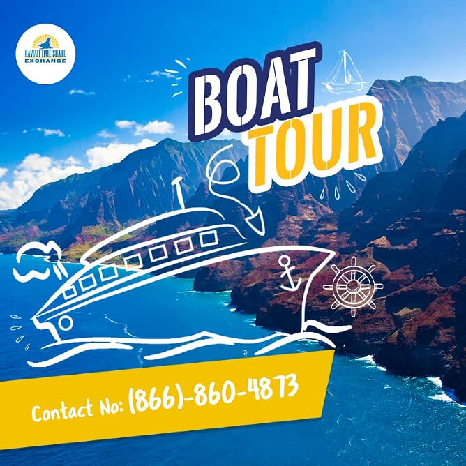 HTSEHawaii's tweet photo. Travel around Kauai in a Catamaran and watch the Sunset! 🌎🌴☀️ Connect with us: (866)860-4873 Visit https://t.co/bSbsv0dvw5 #HTSE #Kauai #ActivitiesInKauai #BoatTour https://t.co/4qco5I2iYd