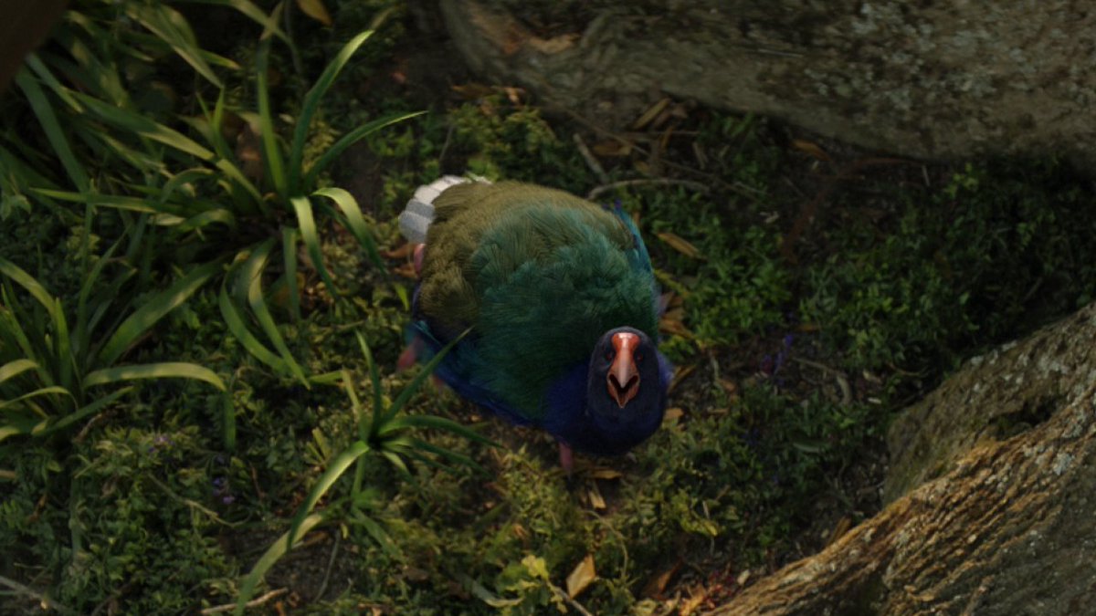 Here’s some insight on how we brought Mr T to life!
"The Takahē was a really fun character to integrate as a VFX creature. We were keen on encouraging Mr T's performance so he could become his own character, all the while staying very Takahē like.” 
#AirNZSafetyVideo #ToyboxNZ