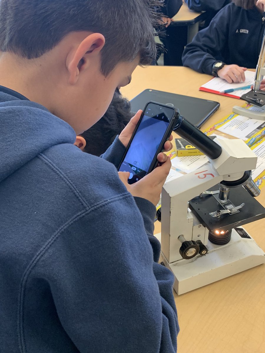 MsStrieks_STEAM's tweet photo. 6th grade Science documenting slide observations with sketches and cell phones. Tomorrow we look at local water samples! #science #microscopes #6thgradescience #PBL #FSUSD @psa_eagles https://t.co/ys45A9m8QL