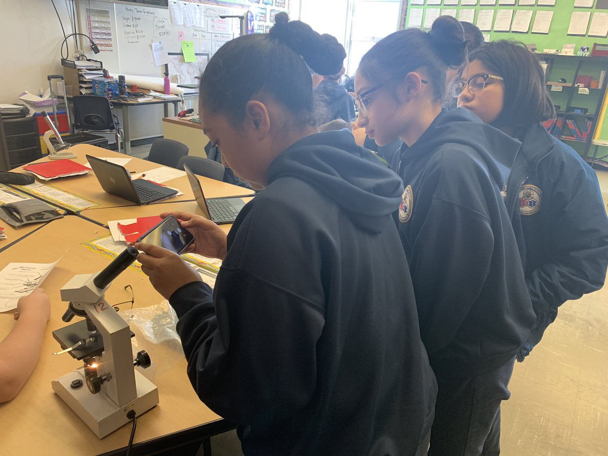 MsStrieks_STEAM's tweet photo. 6th grade Science documenting slide observations with sketches and cell phones. Tomorrow we look at local water samples! #science #microscopes #6thgradescience #PBL #FSUSD @psa_eagles https://t.co/ys45A9m8QL