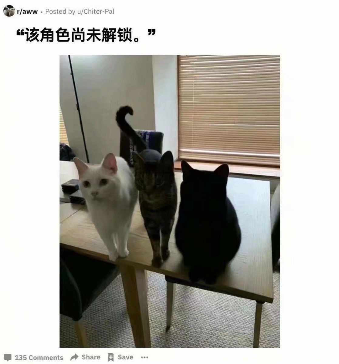 CathyHK416's tweet photo. 该角色尚未解锁—— https://t.co/bGl575z4ug