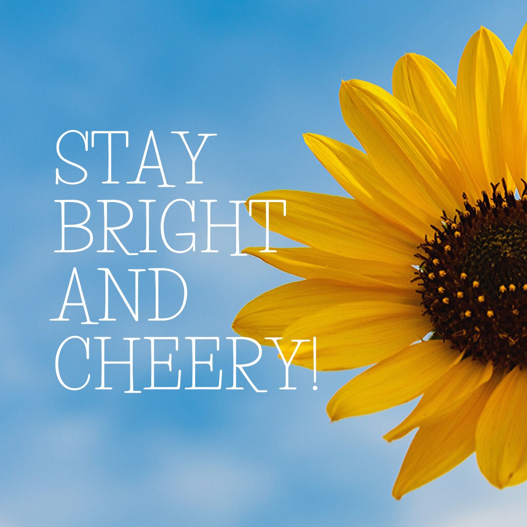 7transfers's tweet photo. "Once you choose hope, anything’s possible". 🌻☀️
-Christopher Reeve

#taxi #travel #trip #Booking #instatravel #instabooking #privatetransfer #privatedriver #airporttransfers #airporttaxi #taxi2spain #7transfers #europe #eeuu #madrid #valencia #barcelona #spain https://t.co/vvygdxF6k7