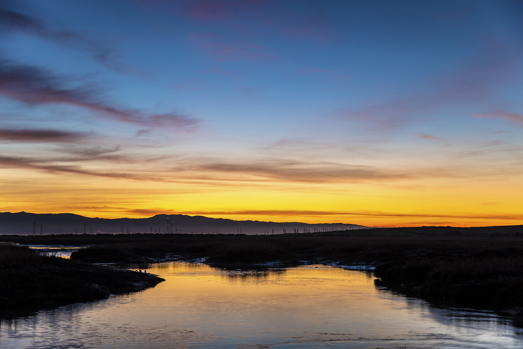 McKaela21144336's tweet image. Can&apos;t wait for my field trip tomorrow to Save the Bay with my AP Bio teammates! #ndbtigers #apbio3 @saveSFbay 

mglanvilleblog.wordpress.com/2020/03/03/pre…