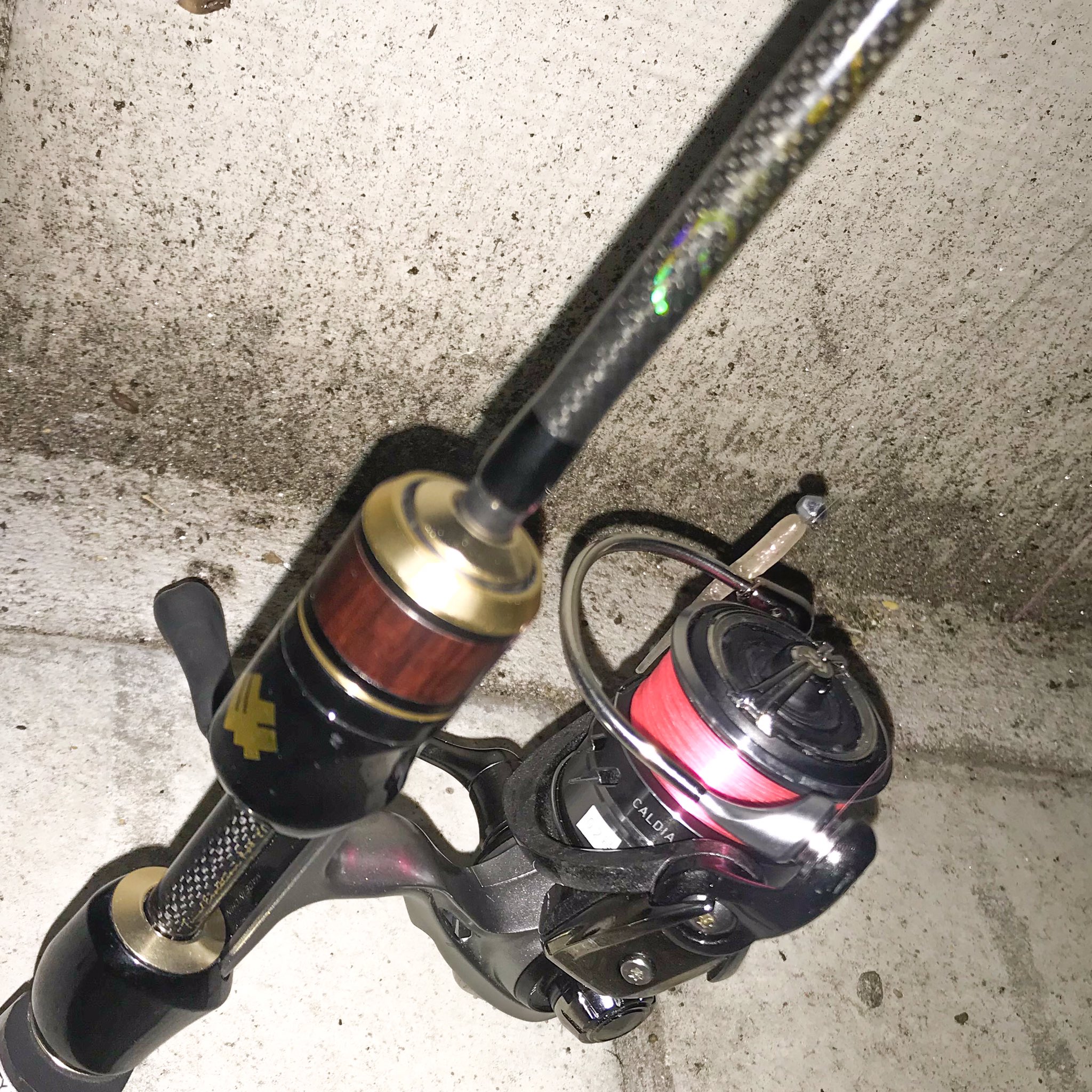 美品　サーティフォー　SFR-51 スペシャライズ SFR-51 - アジング ライトゲーム フィッシング