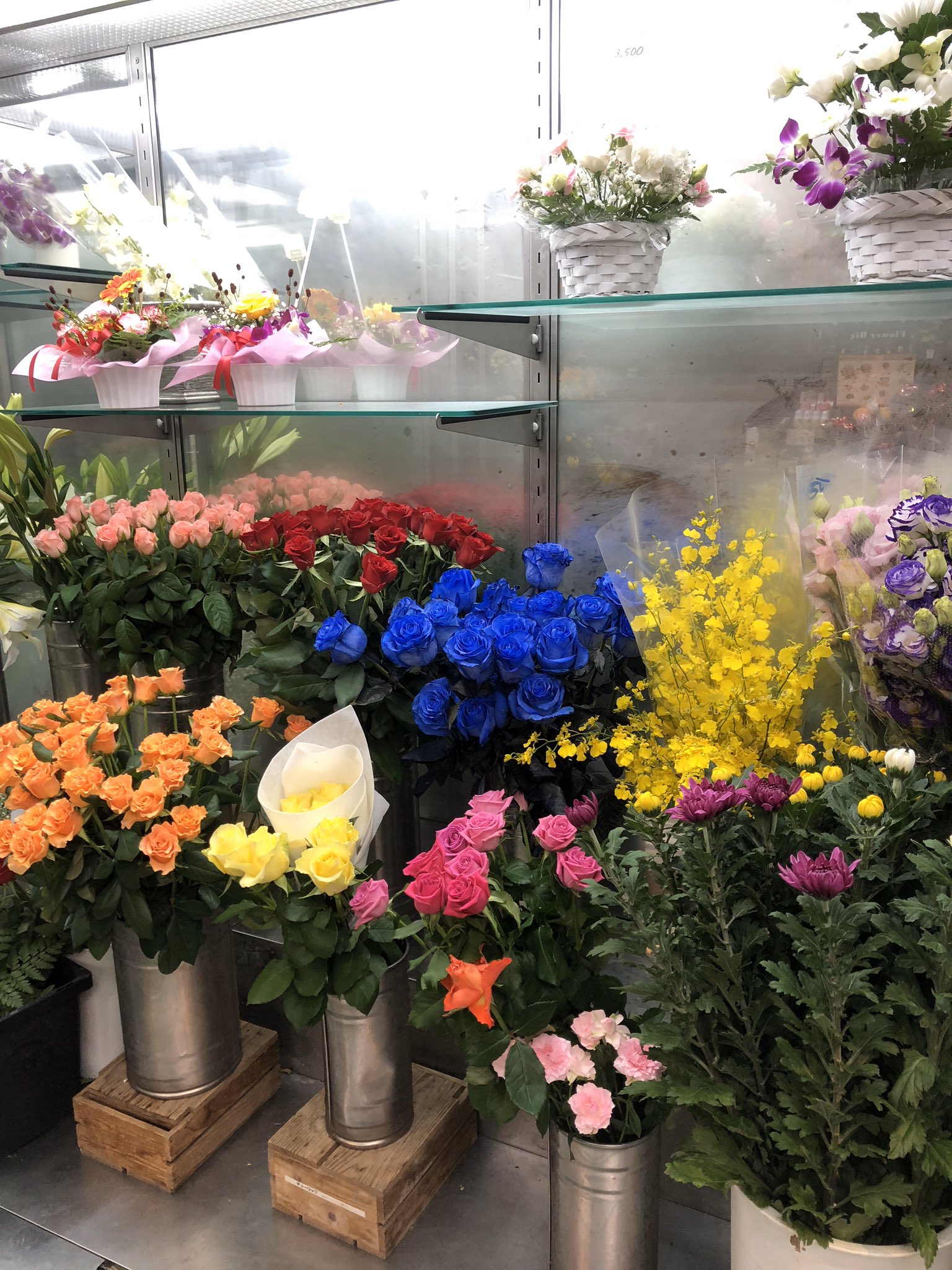 佐野園芸センター 足立区のお花屋さん Sanoengei Twitter