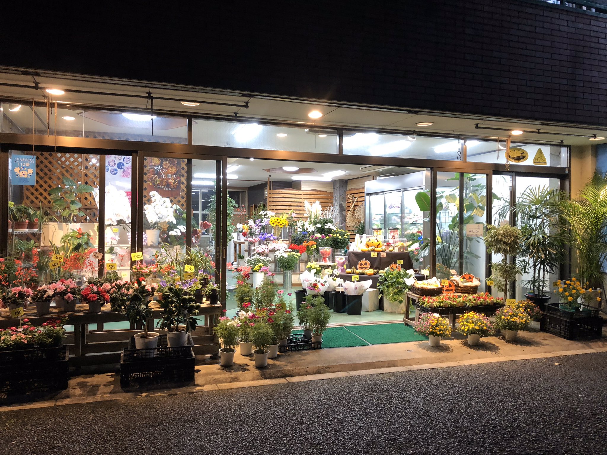 佐野園芸センター 足立区のお花屋さん Sanoengei Twitter