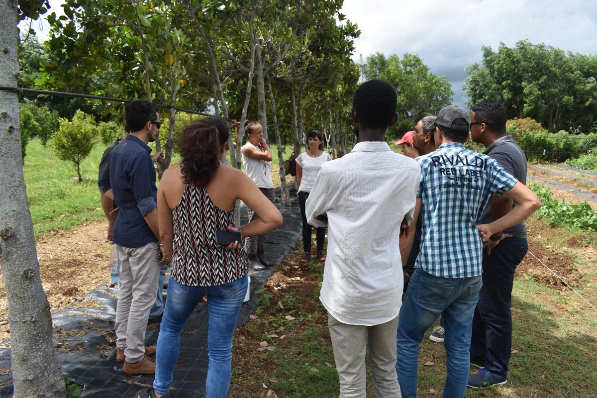 Spécial e-PIC world tour bit.ly/36vHypj Visite du site St0p du Cirad à St Pierre. Toutes les infos de ce projet DEPHY expé bit.ly/3cw6S2s