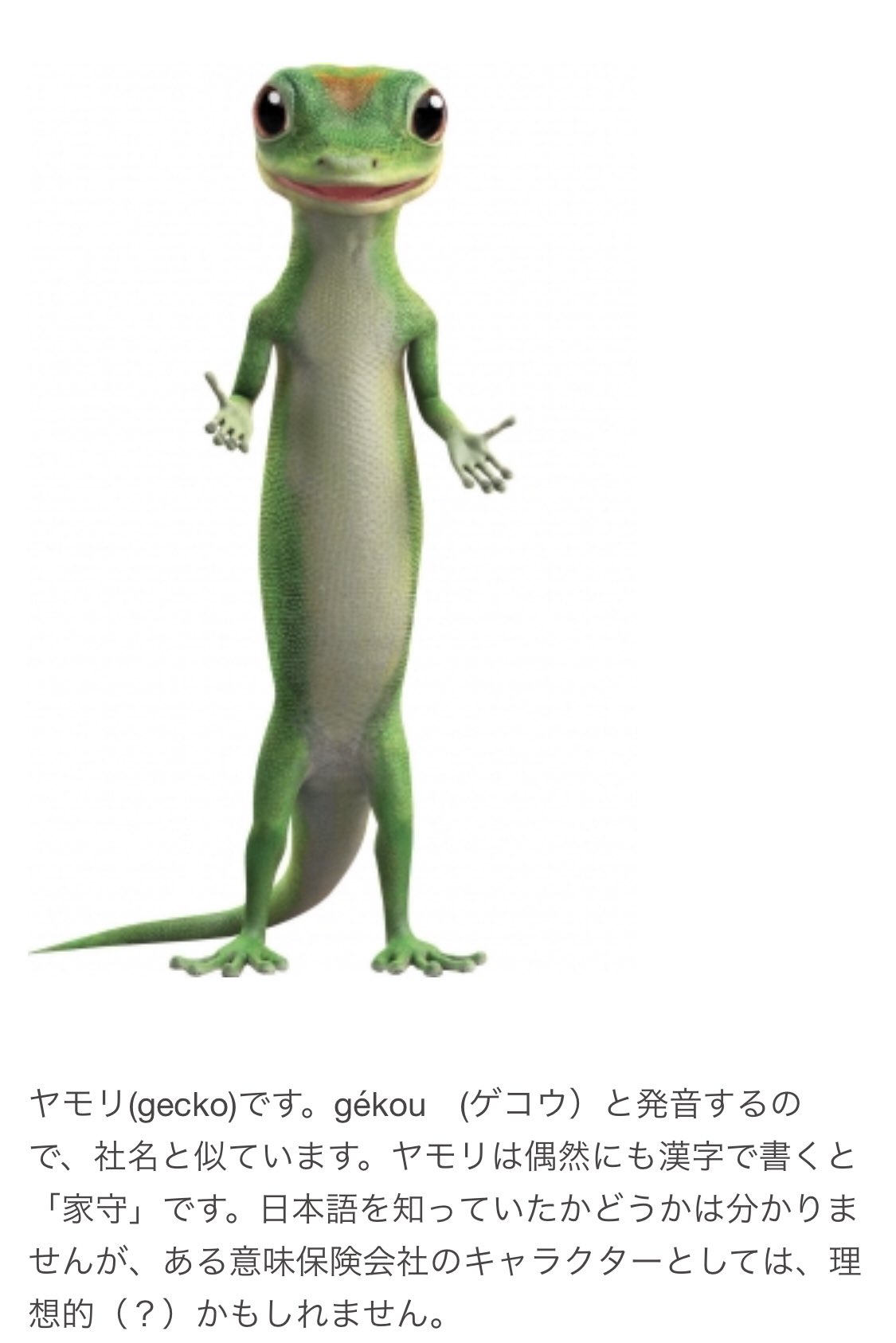 えそら グリーンゲッコー 緑のヤモリですね ˊᗜˋ ヒルヤモリかな トッケイかな Geckoっていうから 爬虫類好きが食いつきました Srでのアバターは普段はヤモリです トカゲって言われますがヤモリです T Co Zcxgwwgjb2 Twitter