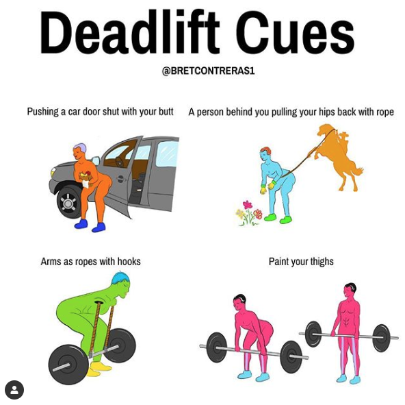 SWEATFITNESS3's tweet photo. Deadlift cues from the #gluteguy!
#deadlift #fitness #gains #strengthtraining #fixyourform #rttosaveaback https://t.co/JDZmeORJRx