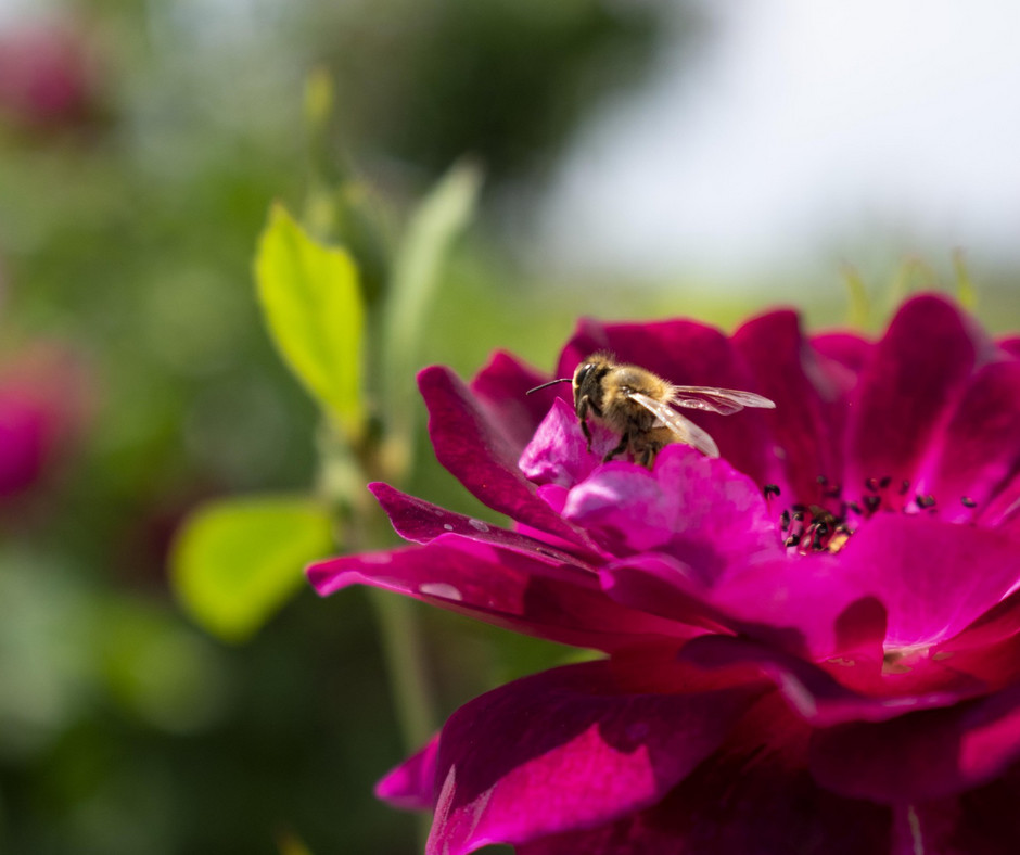 In balance with heaven, humanity and nature...