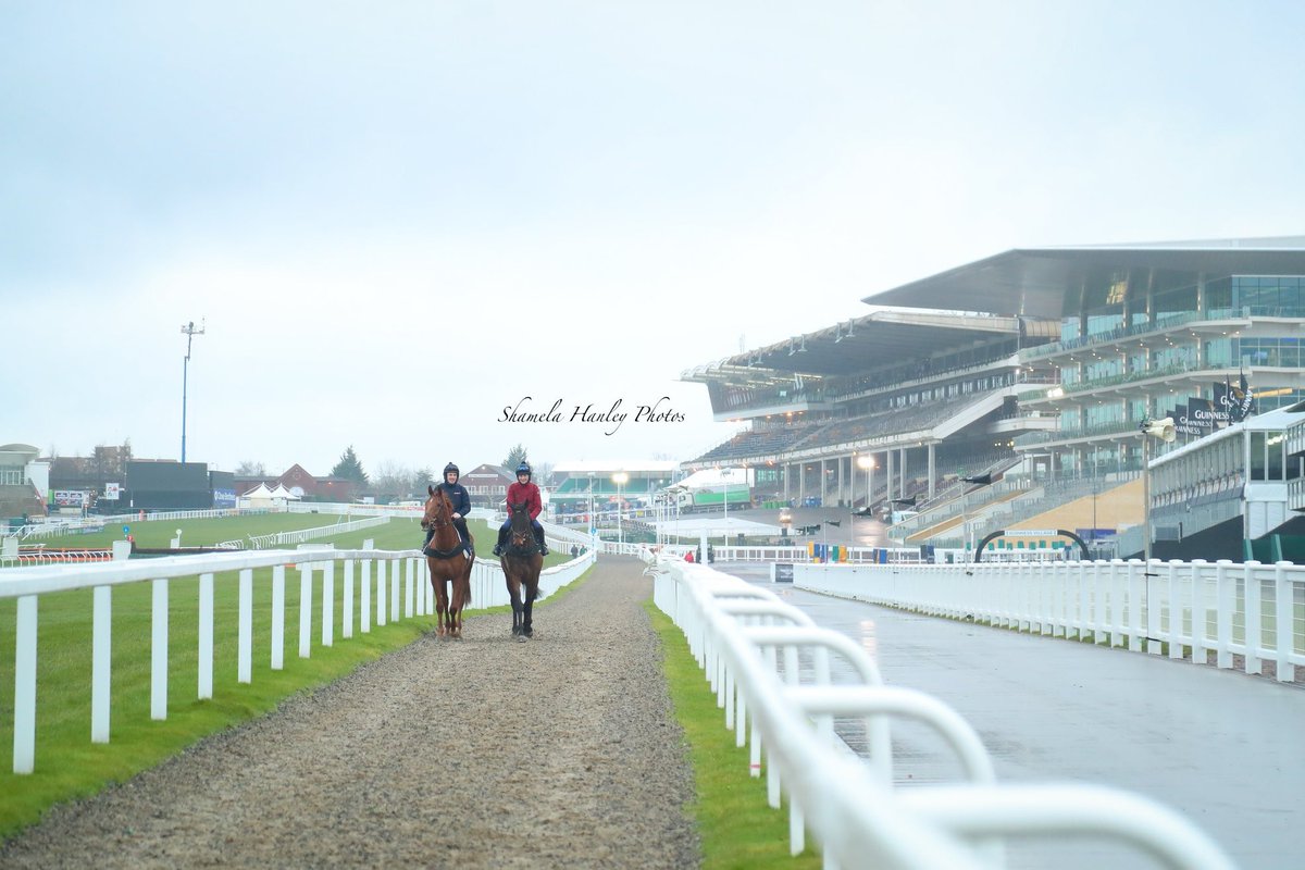 simmy_hanley's tweet photo. Cheltenham 2018 💚 @tuvastables #RoadToRespect @swflanagan7 @emmacbutch https://t.co/4RLHPIhtMu