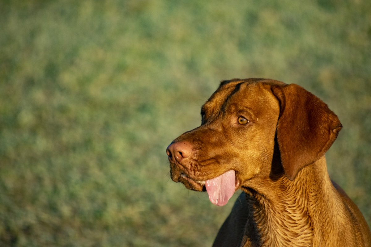 Some silliness to get you through the week 😜