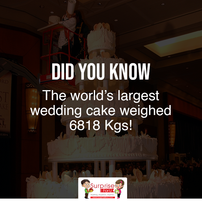 SurpriseForU's tweet photo. Did you know...
The world's largest wedding cake weighed 6818 Kgs!

#DidYouKnow #Cakes #SurpriseForU https://t.co/tf5u1ulxQY