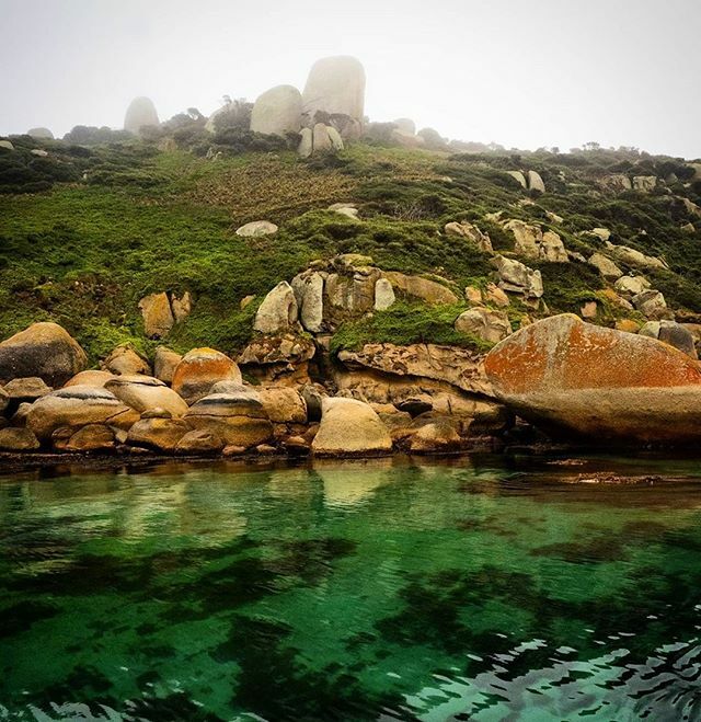 Sea mist adds a little atmosphere to the exploration of the Glennie Group of islands on our Wilsons Promontory Cruise, as captured by @gregg6471  It certainly doesn't  dampen the vivid colours of this spectacular coastline in Victoria's oldest national p… ift.tt/2vBLXdU