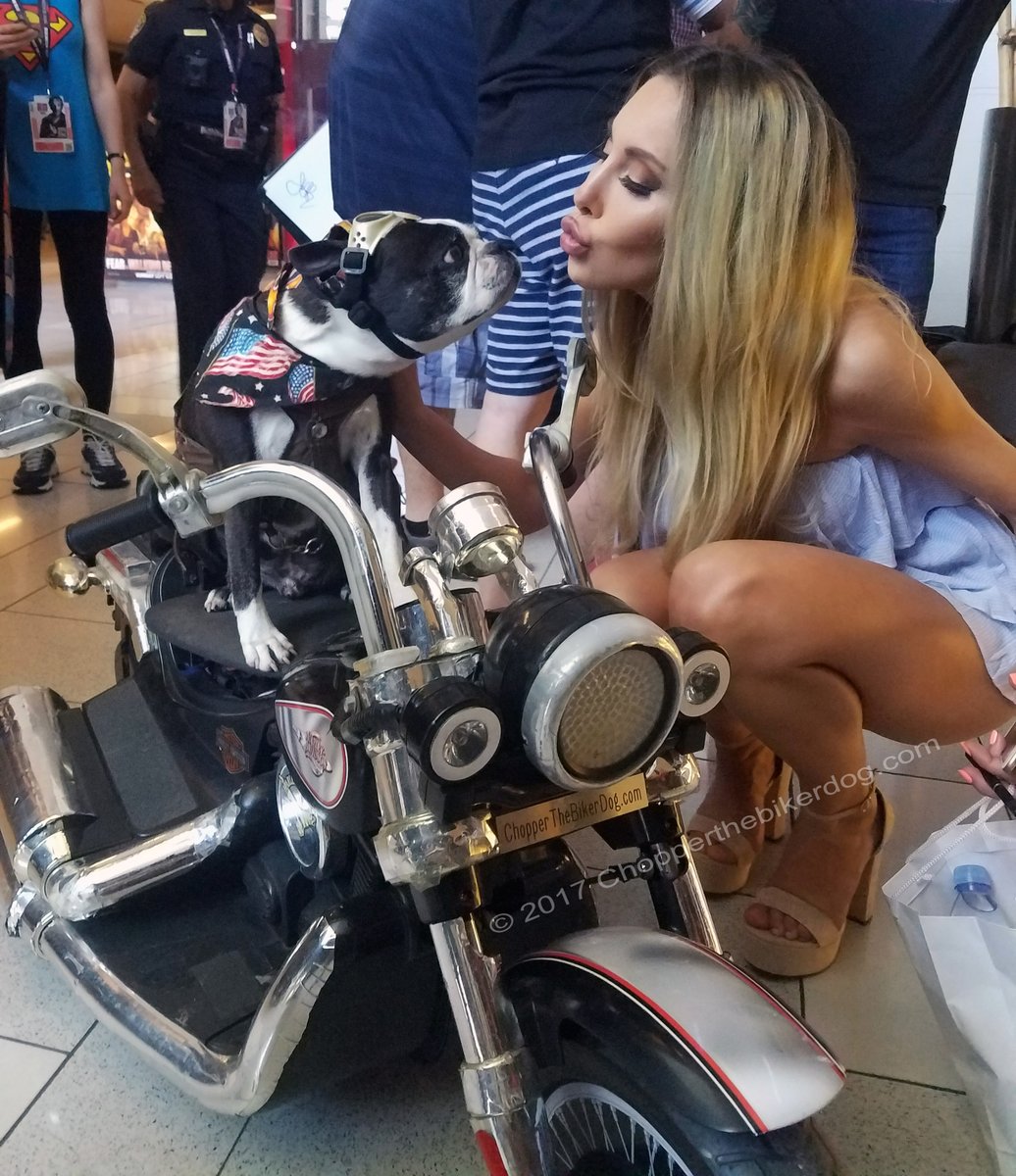 ChopperBikerDog's tweet photo. Sending my #ChopperLove, #ChopperKisses and wishing my sweet friend here @ChloeLattanzi the best of luck on Dancing With The Stars Australia @DancingOn10 You got this!! #ChloeLattanzi #OliviaNewtonJohn's daughter @olivianj #2017ComicCon #SanDiego @HardRockSD #DWTSAU #DWTS https://t.co/TyuHiXgafj