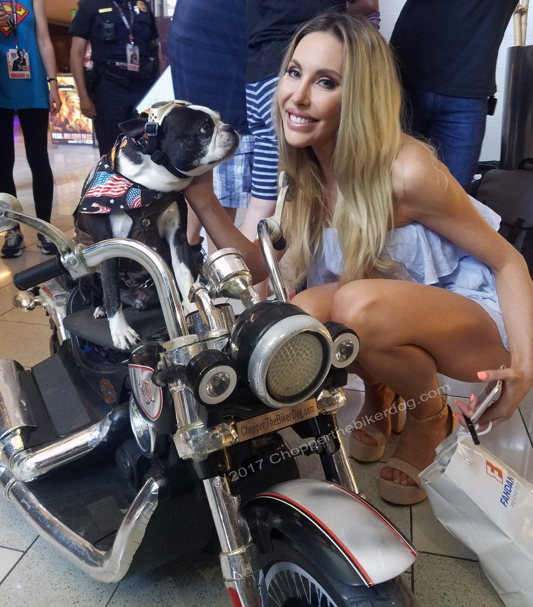 ChopperBikerDog's tweet photo. Sending my #ChopperLove, #ChopperKisses and wishing my sweet friend here @ChloeLattanzi the best of luck on Dancing With The Stars Australia @DancingOn10 You got this!! #ChloeLattanzi #OliviaNewtonJohn's daughter @olivianj #2017ComicCon #SanDiego @HardRockSD #DWTSAU #DWTS https://t.co/TyuHiXgafj