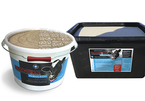 nutrilac_fr's tweet photo. [PRODUIT DE SAISON] Lors de la mise à l'herbe, l'animal passe brusque d'une ration hivernale à une autre constituée d'herbe jeune. Il faudra 3 semaines pour que la flore du rumen s'adapte. #BLOCKEMEL_TRANSITION sécurise l'apport de magnésium et la formation embryonnaire. https://t.co/Sjqnz4KiSv