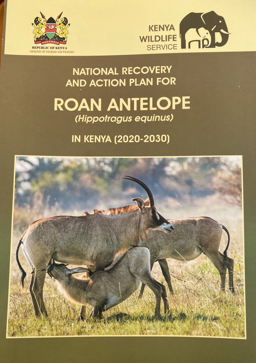 ecotourismkenya's tweet photo. Kenya joined the world in celebrating #WorldWildlifeDay2020 yesterday.
Venue: Ruma National Park in Homabay County.@HomaBayGovt
Guest: Cabinet Secretary @Min_TourismKE - @tunajibu
Action: The Roan Antelope National Recovery and Action Plan was launched.
#SavetheRoan
@Gnderitu https://t.co/TK5hYlitCA