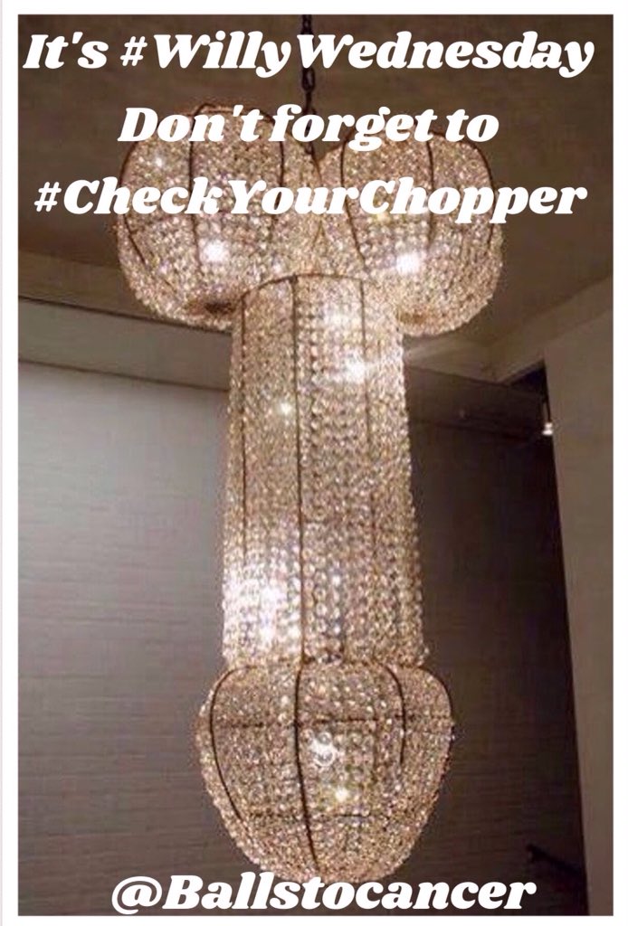 Ballstocancer's tweet photo. Now gentleman let's be honest shall we? You know that there's a fair amount of time you're playing with your willy! Well today is #WillyWednesday which is an actual medical reason for you to do it! #DontBeSillyCheckYourWilly https://t.co/PB4U2CYTAw #JustDoIt #CheckYourChopper RT https://t.co/BHQ8ICRVnO