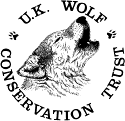 u10435068's tweet photo. We have finally arrived the correct group to protect these majestic and intelligent animals who are all about the pack so join the pack and help protect them🤟🏾🤟🏾 https://t.co/XNkiAL51Iy