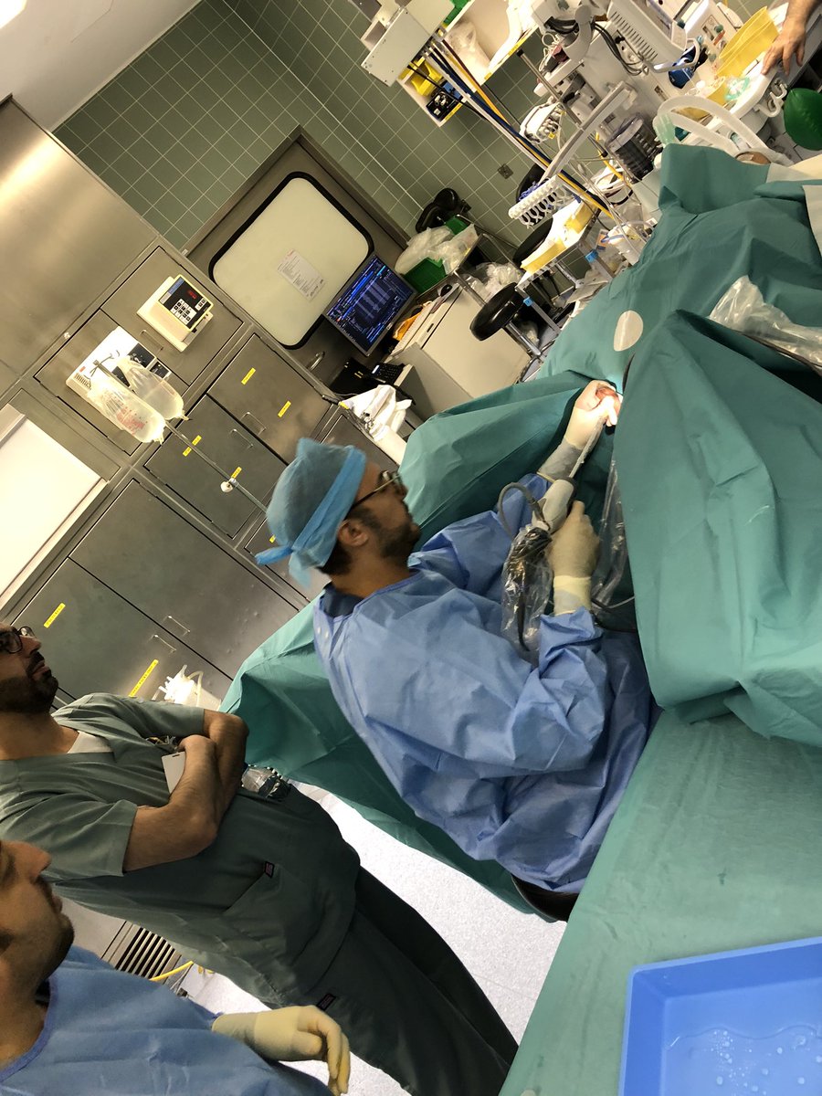 Saeed Bin Hamri tweet media